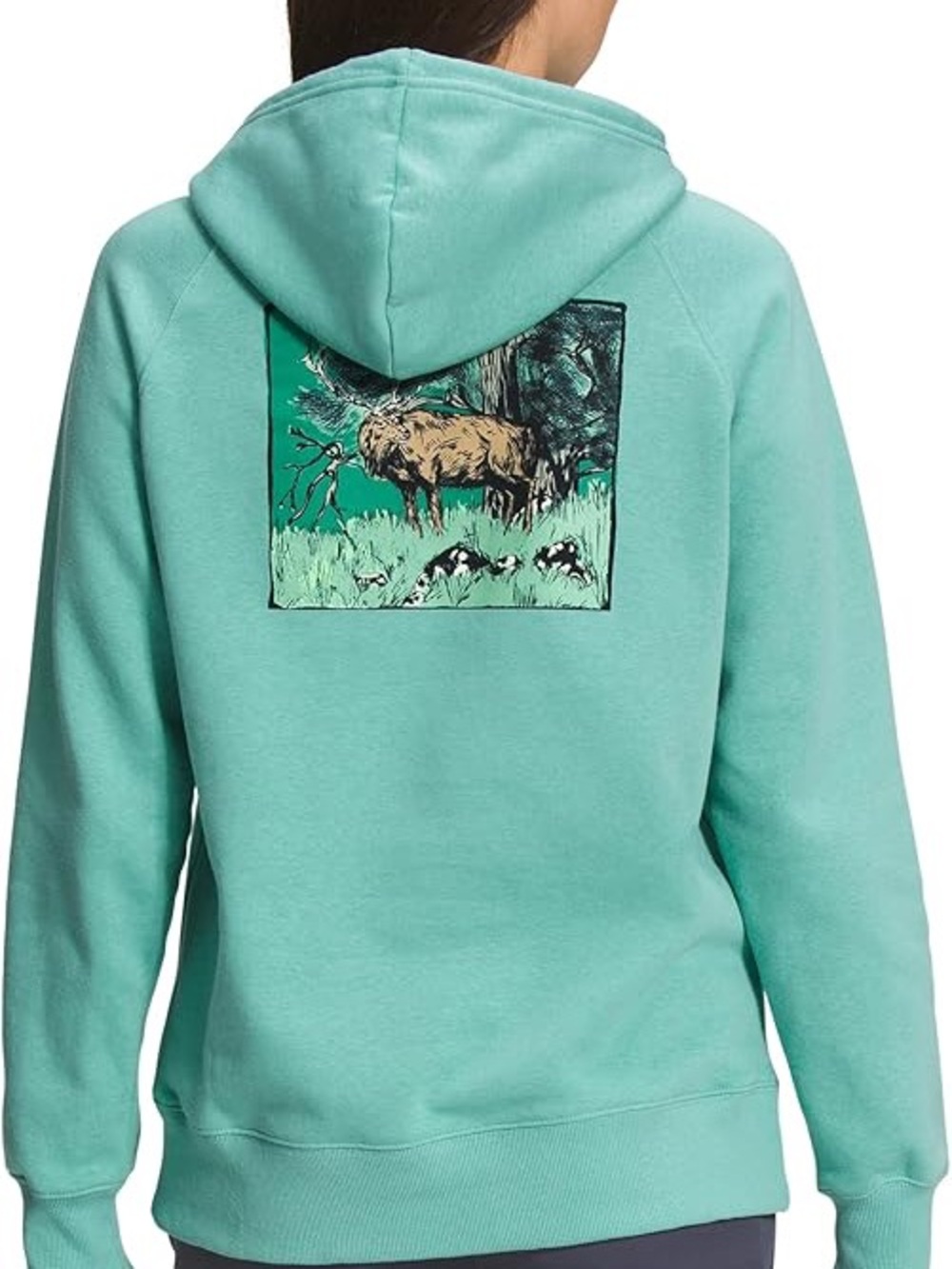 The North Face Women's Graphic Pullover Hoodie